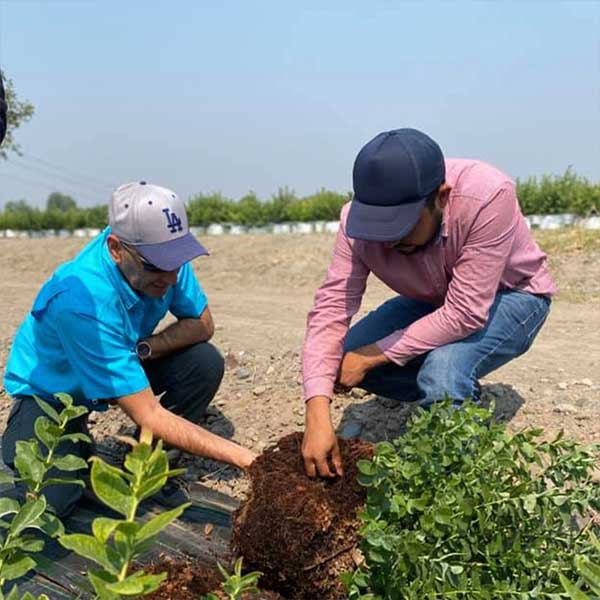 Asesorías y capacitaciones para siembra en puebla