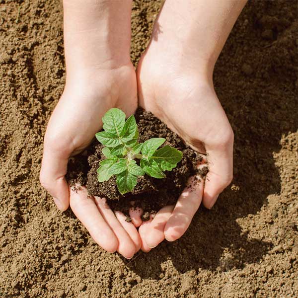 Soluciones precisas e integrales para el campo en puebla